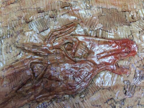 Chevaux de paix, chevaux de guerre -2007- Bas-relief, patine sanguine, vernis. H.60 x L.180 cms(détails)